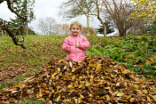 孩子在秋天的落叶堆里
