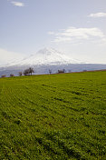 土耳其野地后面的火山