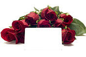 一打红玫瑰孤立在白色与空白礼品卡