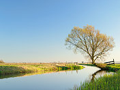 荷兰春天的圩田景观