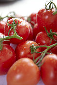 新鲜成熟的番茄在藤上