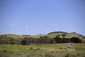 澳大利亚风turbins