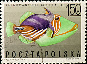波兰的邮票