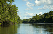 巴西亚马逊河的河流和河岸植被
