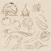 蔬菜的背景 蔬菜的背景