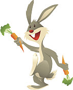 兔子的胡萝卜 兔子的胡萝卜