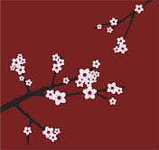Sakura /樱花