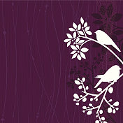 鸟类紫色背景