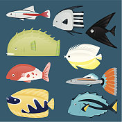 深海海洋热带水生海洋鱼类集