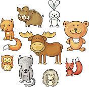 森林里的动物 森林里的动物