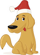 圣诞狗狗 圣诞狗狗