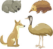 澳大利亚四动物设置2