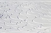 粉状雪中的滑雪道