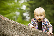 幼童爬树