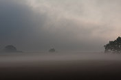 雾中的田野
