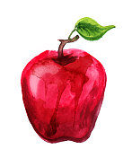 水彩画的红苹果