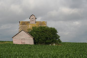 在暴风雨的爱荷华州下午，玉米田围绕着旧谷仓。