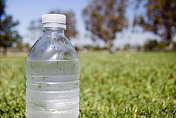 草地上的水瓶