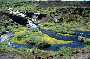 冰岛的绿色瀑布