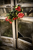 墓地里的花