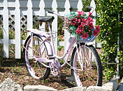 旧自行车粉红色