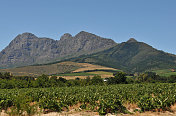 南非Franschhoek山谷和山脉