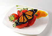 蝴蝶在水果