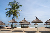 越南芽庄海滩上的阳伞