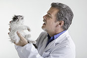 动物医生与小猫