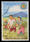 收割水稻菲律宾邮票