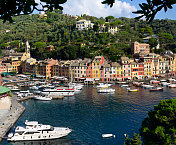 上能看到Portofino