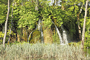草地瀑布般的水流流入克罗地亚的Plitvice湖