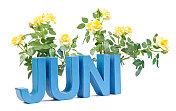 Juni -德语中六月的意思