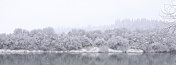 白雪覆盖的冬日――娇嫩的树木和倒影被白雪覆盖