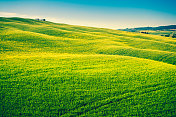 意大利，Val d'Orcia，托斯卡纳，连绵起伏的丘陵景观