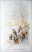 旧维多利亚圣诞卡片-知更鸟在雪地里