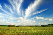 景观――绿色的田野和蓝色的天空