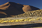 玻利维亚地形