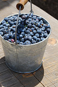 桶的蓝莓