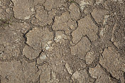 干燥的土壤形成了片状结构