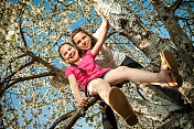 可爱的小女孩在树上玩耍、享受