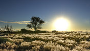 喀拉哈里草原上的日落