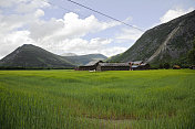 夏天的农舍和绿色的田野。