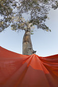 塞浦路斯阿伊纳帕海滩树下的红色吊床