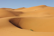 撒哈拉沙漠、摩洛哥