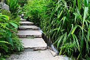 花园小径:石头楼梯