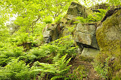 Hardcastle Crags林地风景区与蕨类和岩石