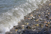 海浪拍打着布满卵石的海滩