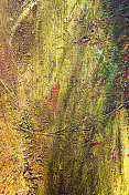 绿黄、红抽象的油画背景