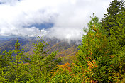 蓝岭公园路国家公园秋天风景，NC，美国